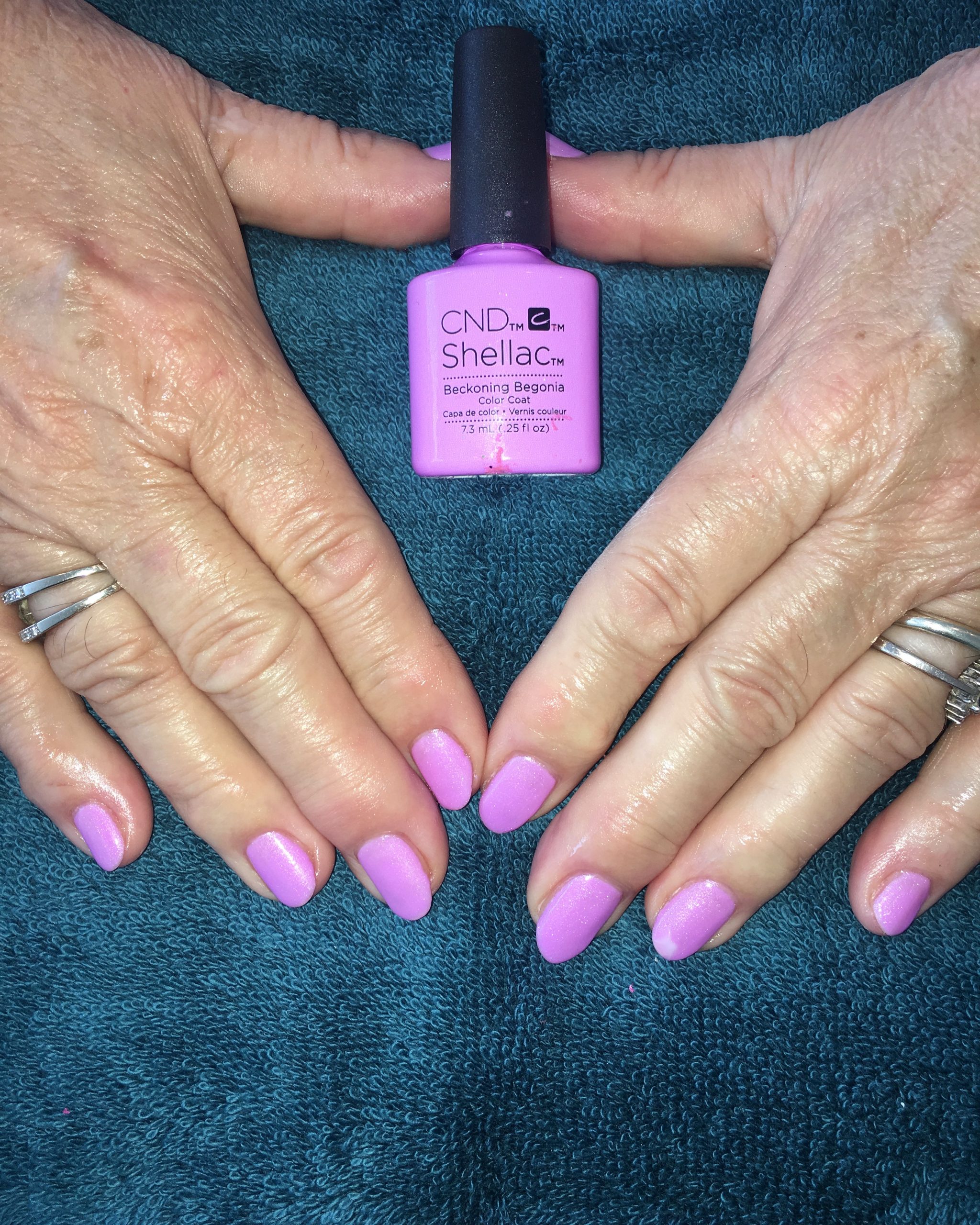 Gallery Beauty and Nails at Number 6